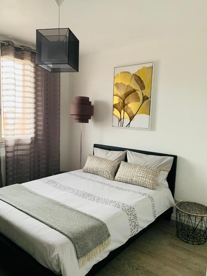 St Louis Appartement Roanne Zewnętrze zdjęcie